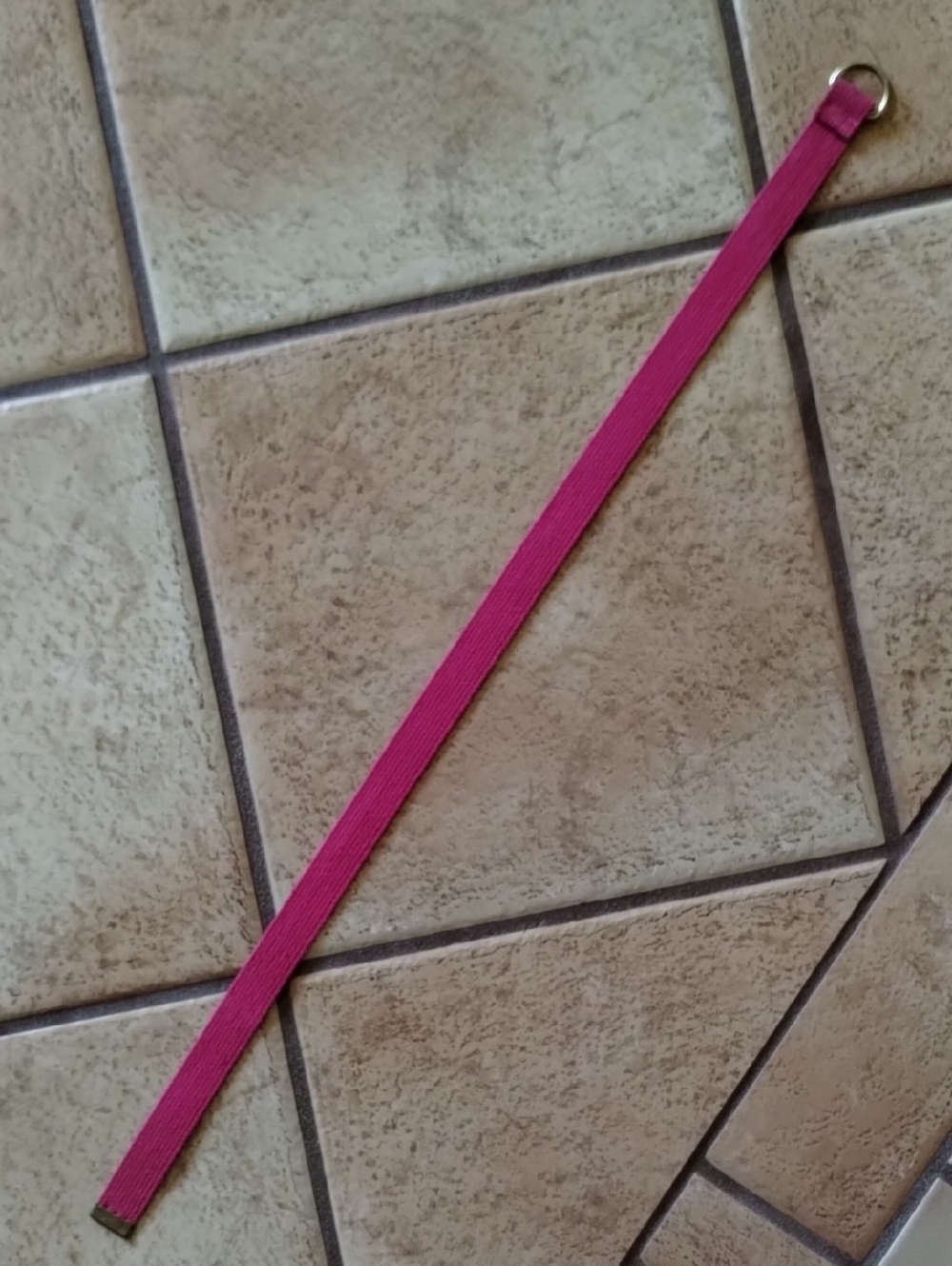 Pink Web Belt - Picture 7 of 7